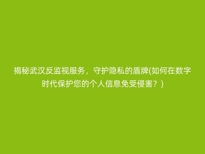 揭秘武汉反监视服务，守护隐私的盾牌(如何在数字时代保护您的个人信息免受侵害？)